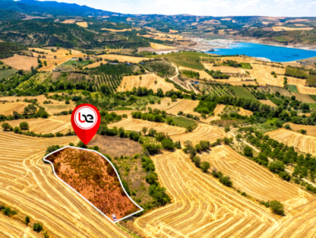 2.804 M2 Vineyard For Sale In Naip Village With An Open Road Suitable For Investment
