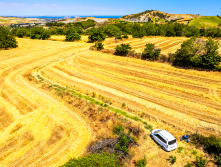Price Dropped Opportunity 2.804 M2 Vineyard For Sale In Naip