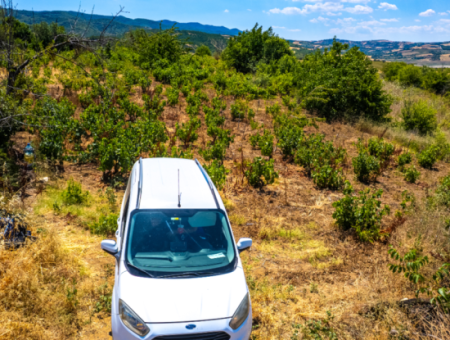 2.804 M2 Vineyard For Sale In Naip Village With An Open Road Suitable For Investment