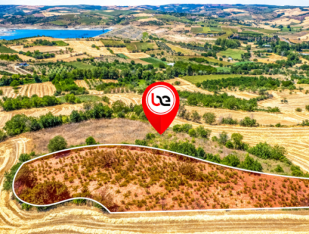2.804 M2 Vineyard For Sale In Naip Village With An Open Road Suitable For Investment