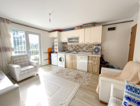 Iskanli Bahçe Floor 1 1 Flat On The Sea Side Of The Street In Kumbağ