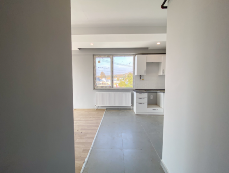 Luxury 2 1 Apartments For Sale In Kumbag Sea Side Complex With Pool