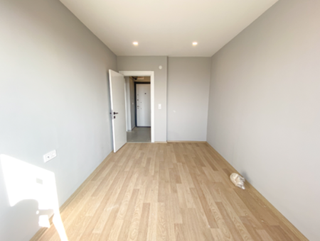 Luxury 2 1 Apartments For Sale In Kumbag Sea Side Complex With Pool