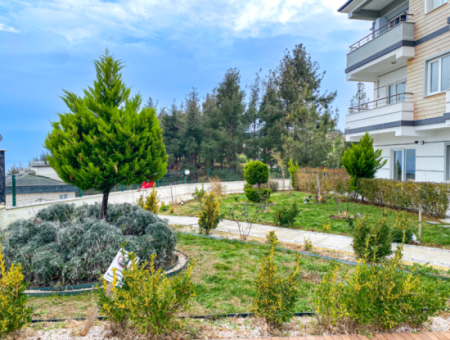 Fully Furnished Luxury 1 1 Flat For Rent In Kumbağ Pool Site