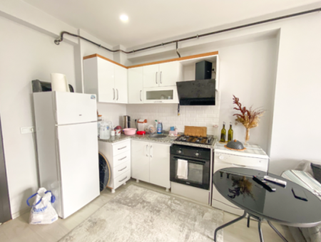 Fully Furnished Luxury 1 1 Flat For Rent In Kumbağ Pool Site