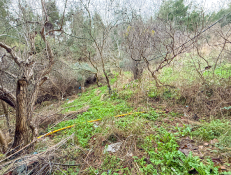 7 1 Triplex Villa For Sale With Large Garden In The Center Of Kumbağ