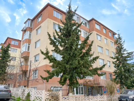 Spacious And Luxurious Fully Built 3 1 Flat For Sale In Altinova