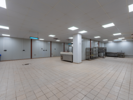 Production Facility Suitable For Food Production In Smoke-Free Industrial Zone