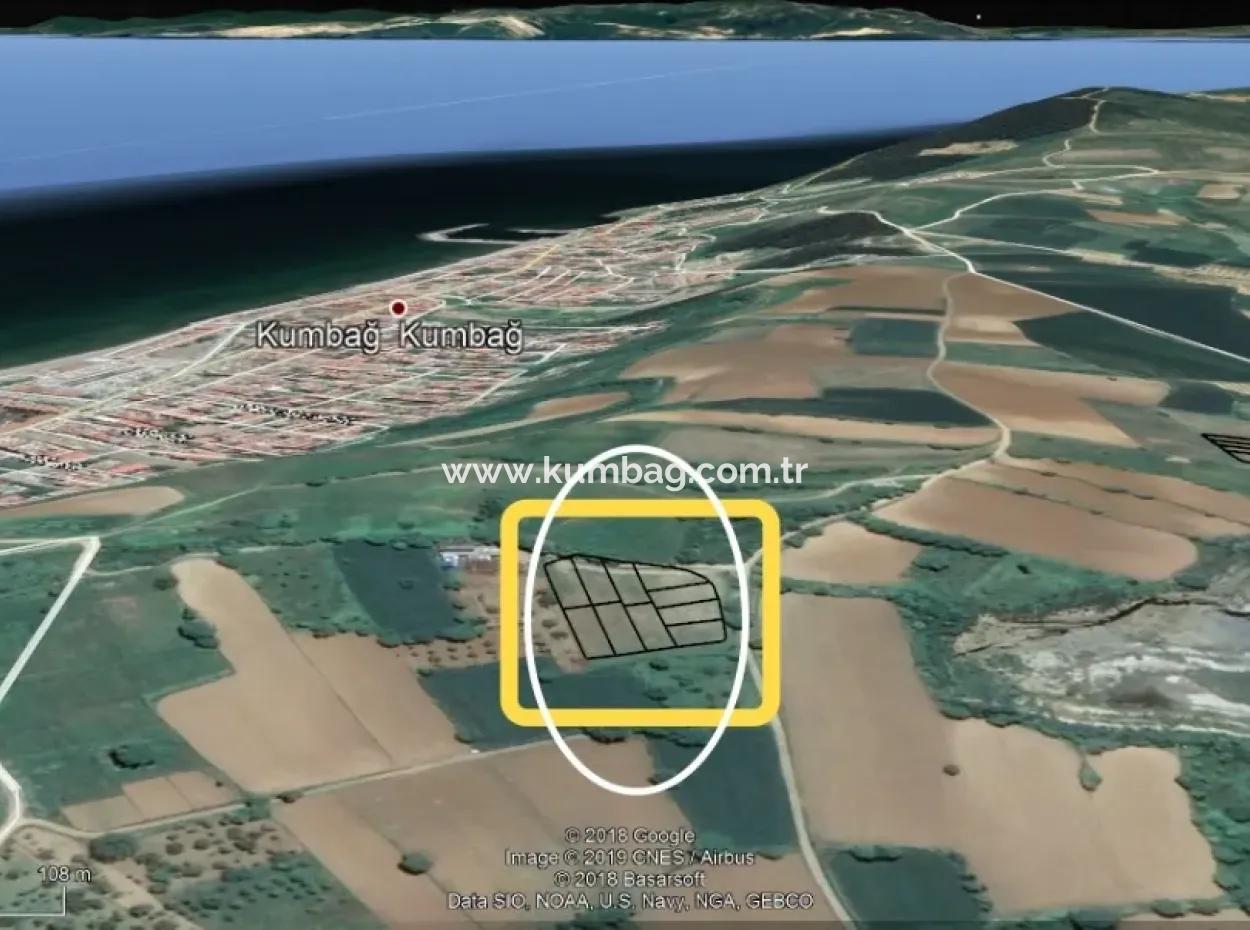 Tekirdağ Kumbağ İmarlı İfrazlı Deniz Manzaralı Satılık Arsalar