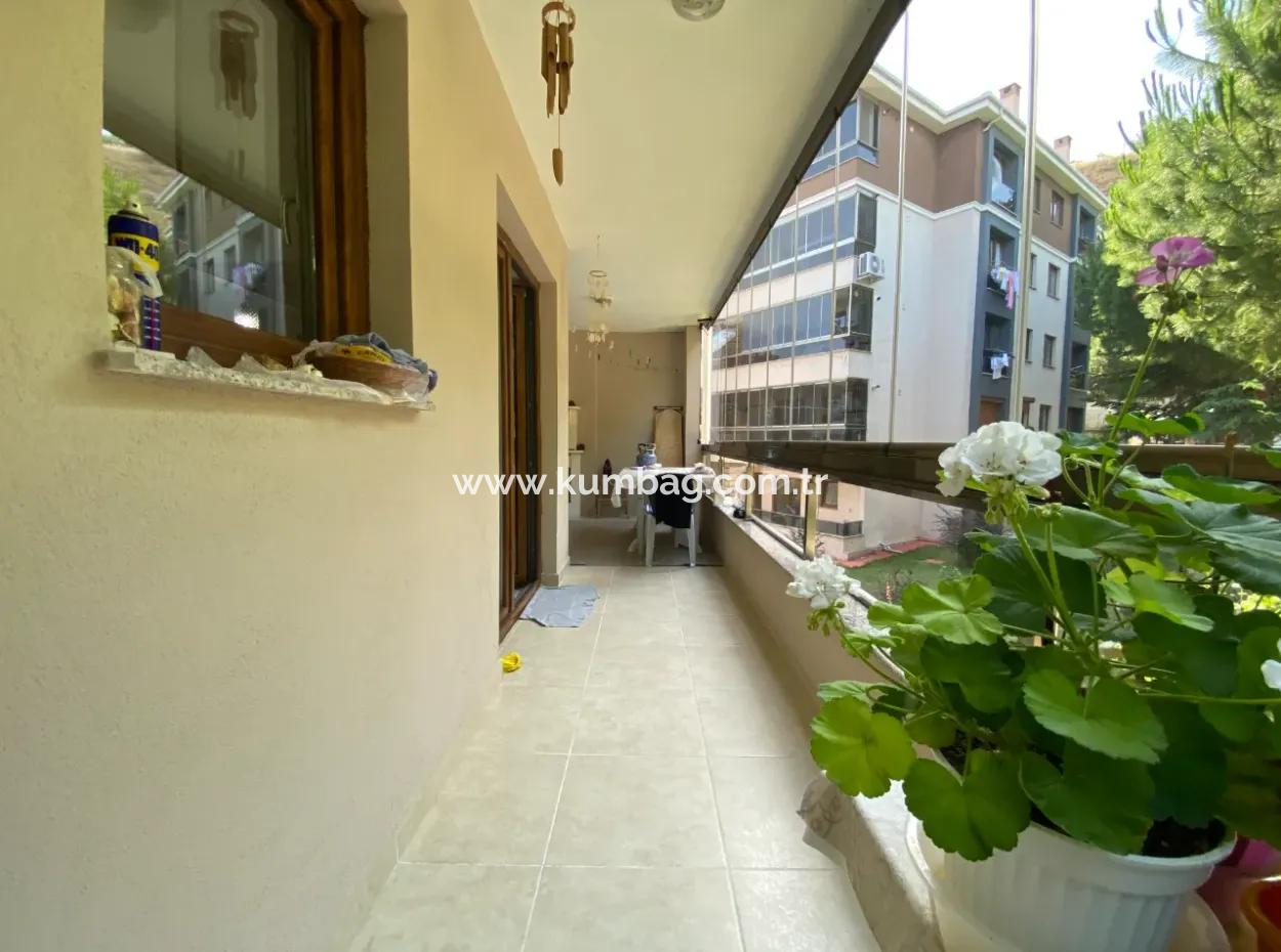 Kumbağ Havuzlu Site İçerisinde Satılık Eşyalı 2+1