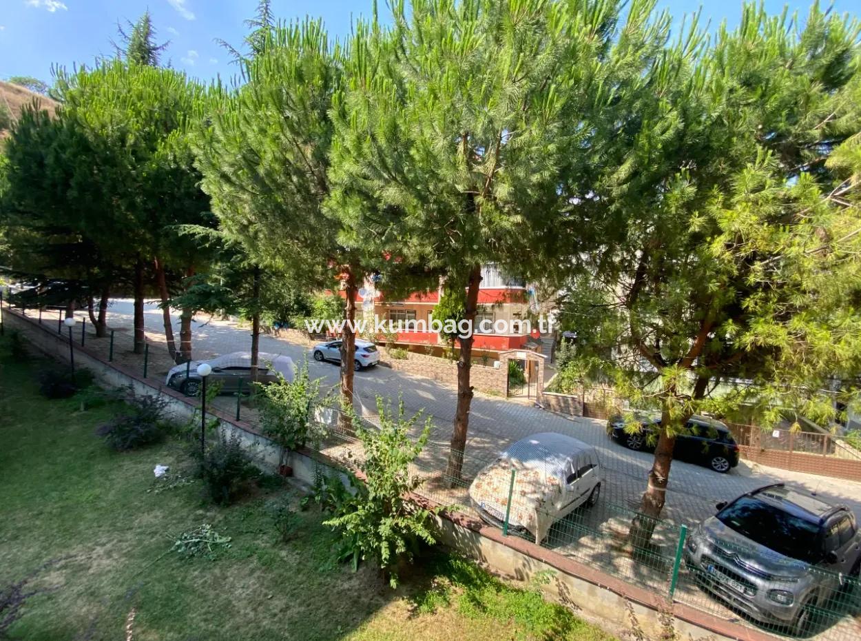 Kumbağ Havuzlu Site İçerisinde Satılık Eşyalı 2+1