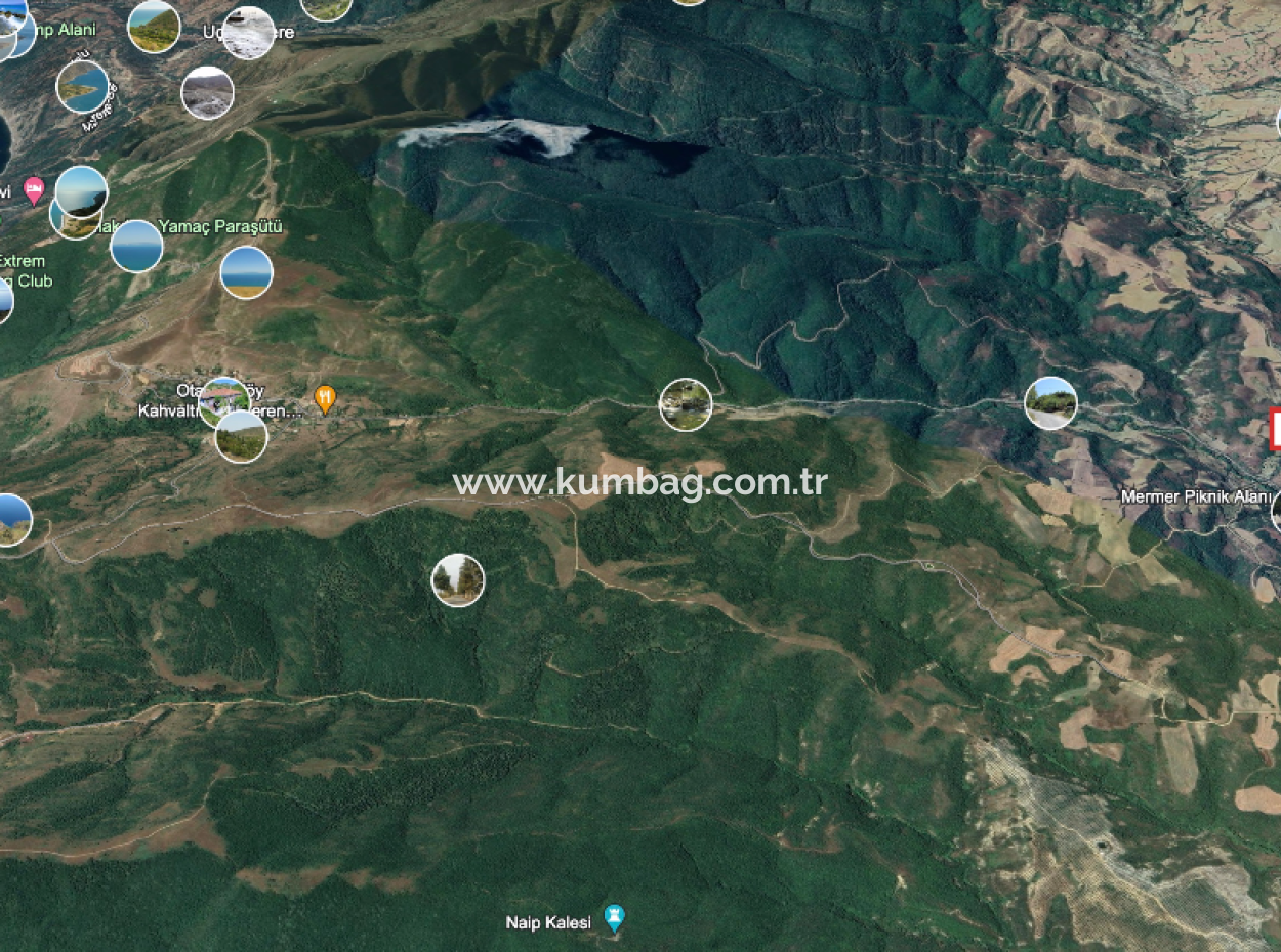 Yeniköy'de Yerleşim Alanı İçerisinde Satılık Meyve Bahçesi