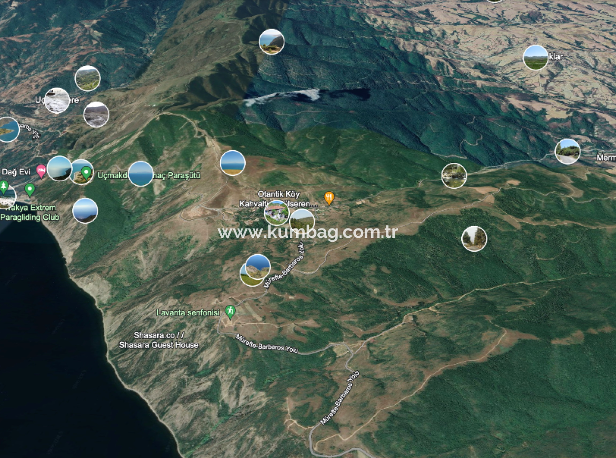 Yeniköy'de Yerleşim Alanı İçerisinde Satılık Meyve Bahçesi
