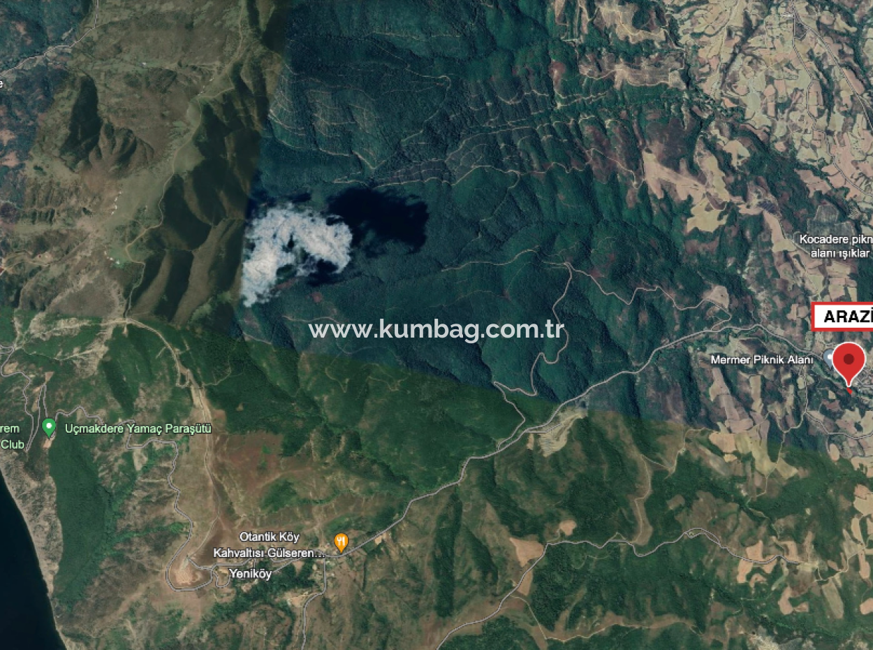 Yeniköy'de Yerleşim Alanı İçerisinde Satılık Meyve Bahçesi