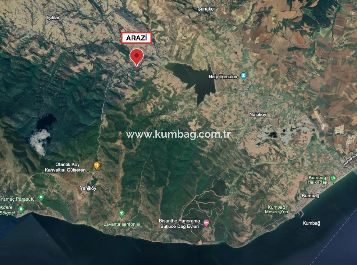 Yeniköy'de Yerleşim Alanı İçerisinde Satılık Meyve Bahçesi