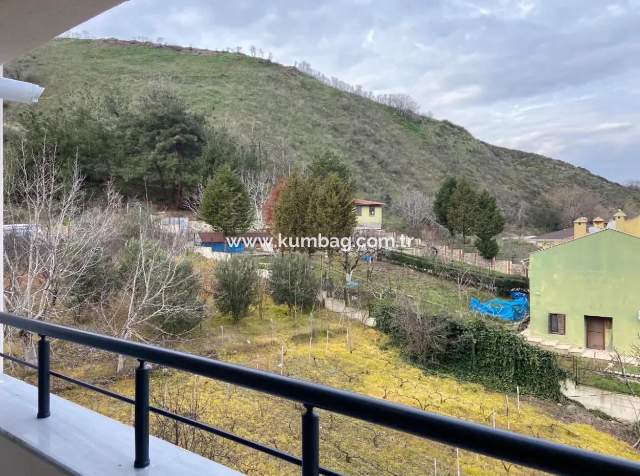 Kumbağ Merkezi Konumda Kiralık Sıfır 1+1 Daire