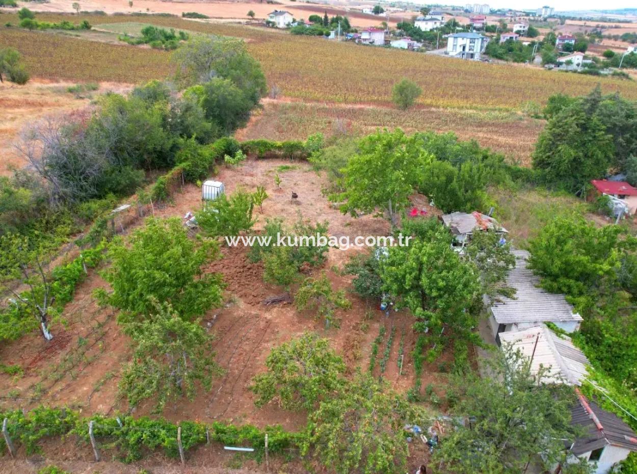 Tekirdağ Topağaç Mah. 843 M2 Arsa