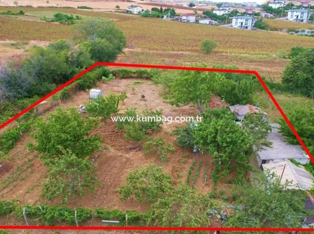 Tekirdağ Topağaç Mah. 843 M2 Arsa