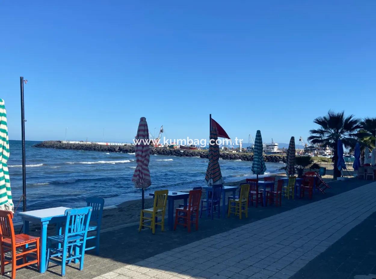 Kumbağ Mah. Denize Sıfır Ayrı Mutfaklı Kiralık 1+1 Daire