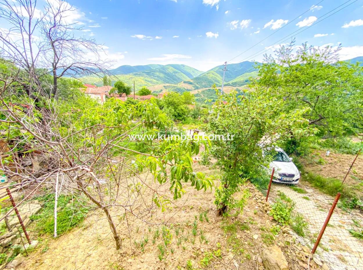 Tekirdağ Işıklar Köyünde Doğa Manzaralı 2+1 Satılık Müstakil Ev