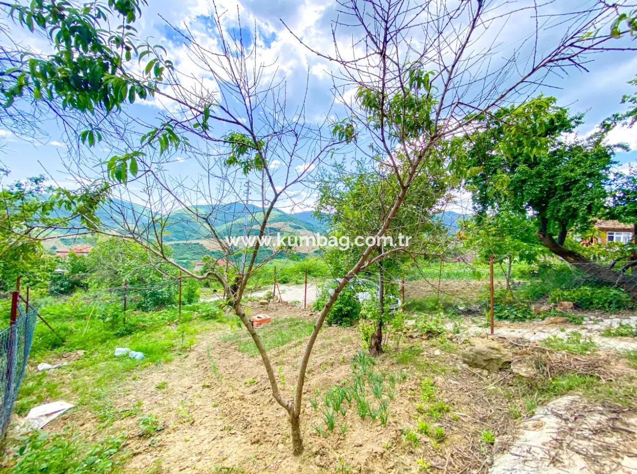 Tekirdağ Işıklar Köyünde Doğa Manzaralı 2+1 Satılık Müstakil Ev