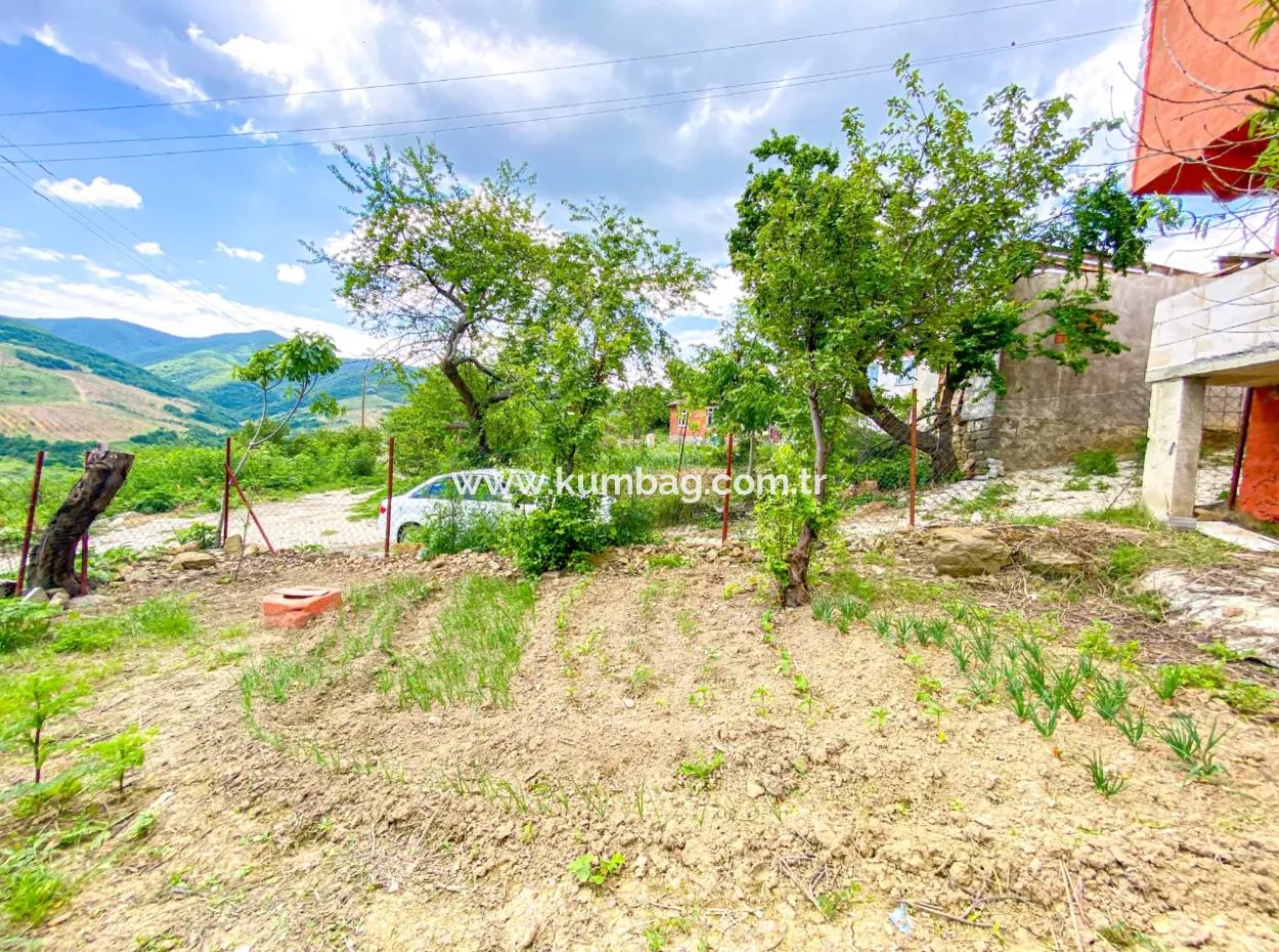 Tekirdağ Işıklar Köyünde Doğa Manzaralı 2+1 Satılık Müstakil Ev