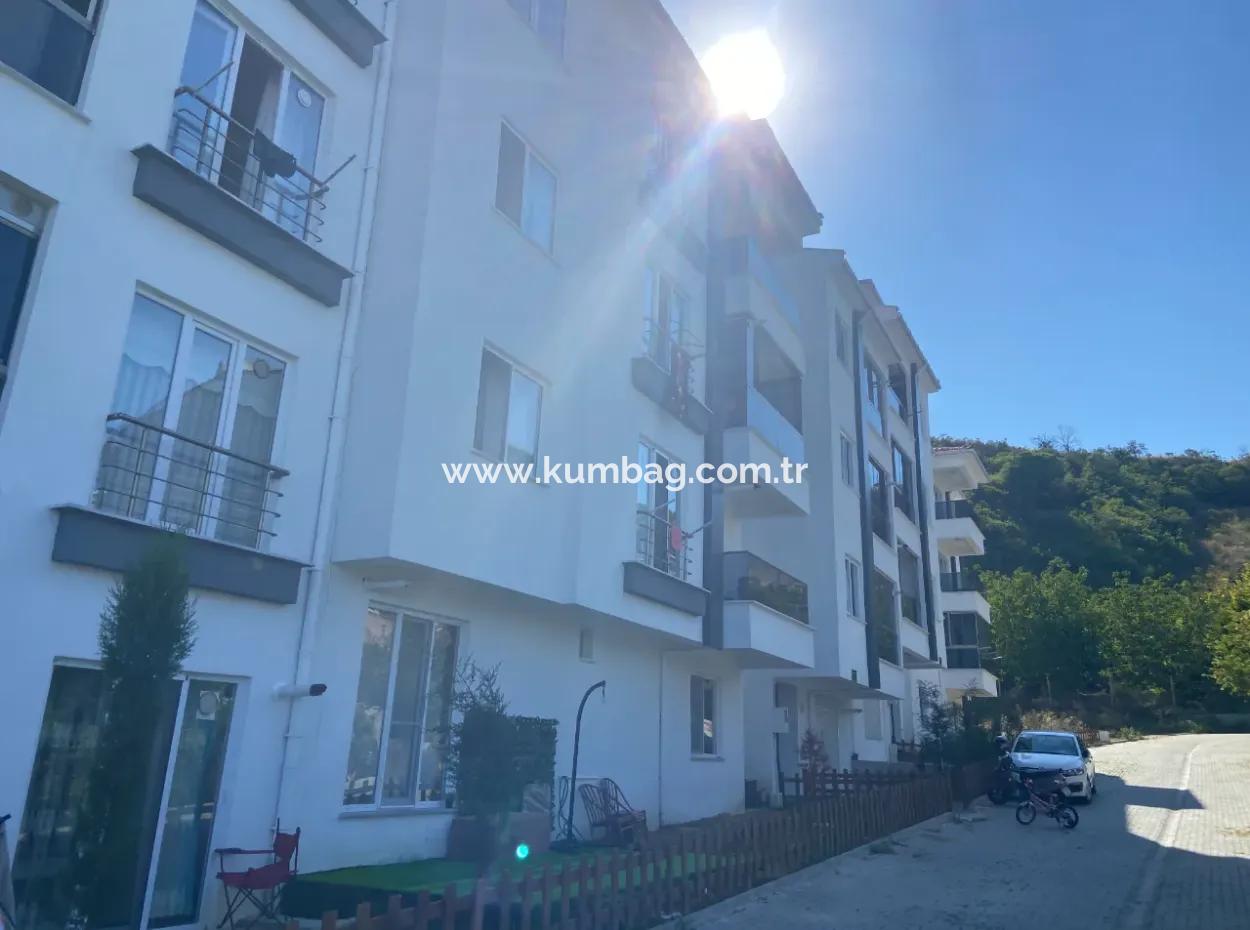 Kumbağ Pazar Sokağı Mevkii Yeni Binada Kiralık 1+1 Daire