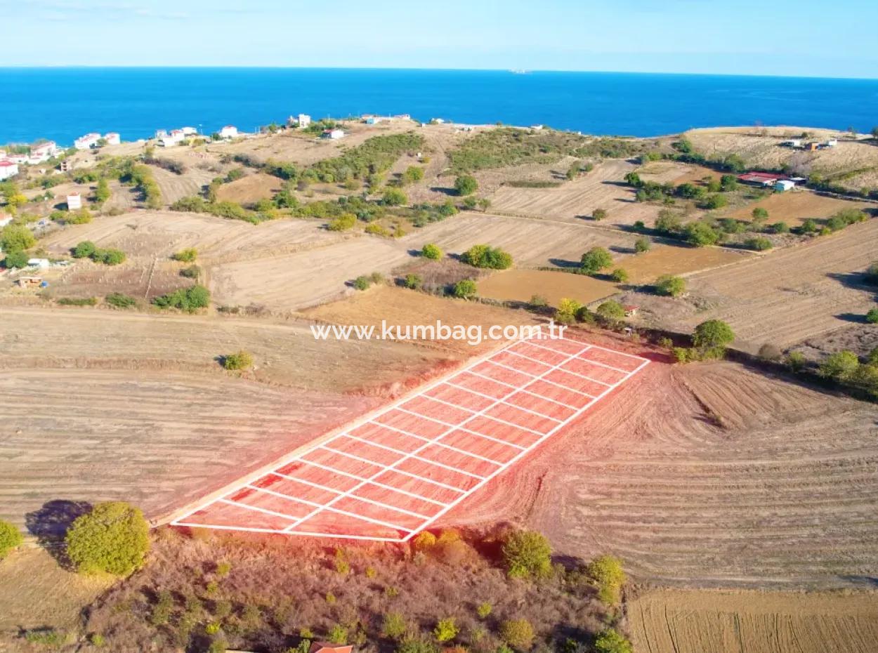 Kumbağ'da 20 Mt Yola Cephe 300 M2 Satılık Hisseli Parseller
