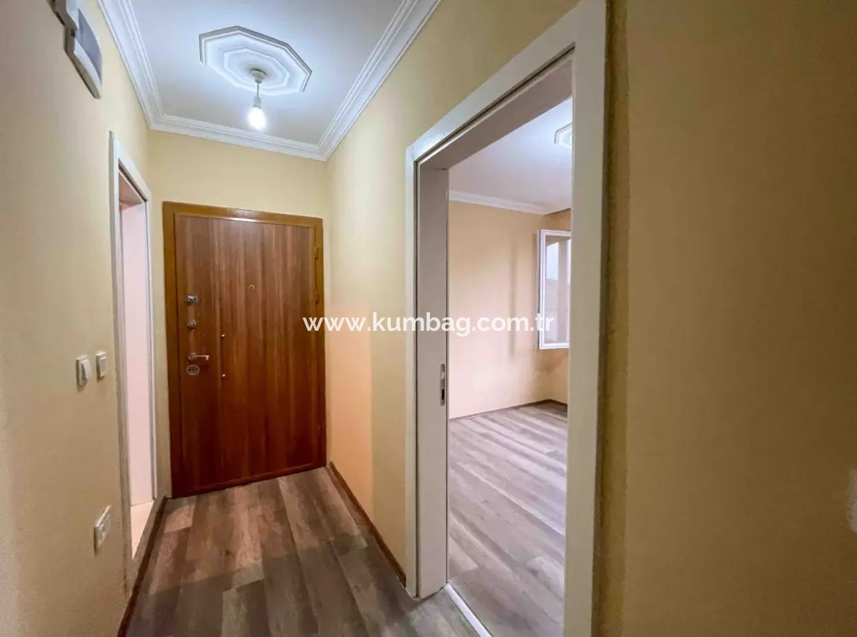 Mükemmel Manzaralı Denize Yakın Havuzlu Geniş Satılık 1+1 Daire