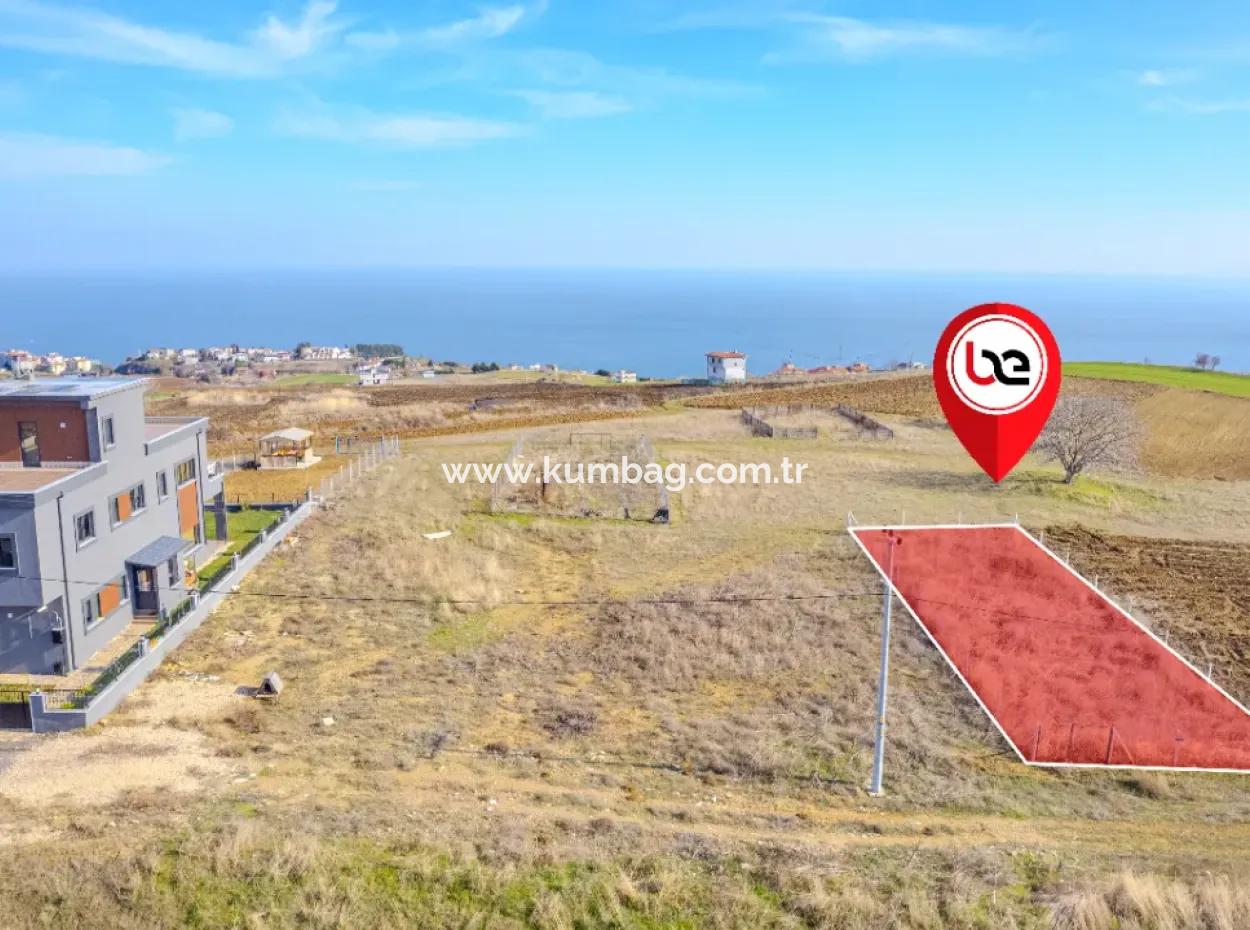 Tekirdağ 396 M2 İnşaata Hazır Tek Tapu Satılık İmarlı Arsa