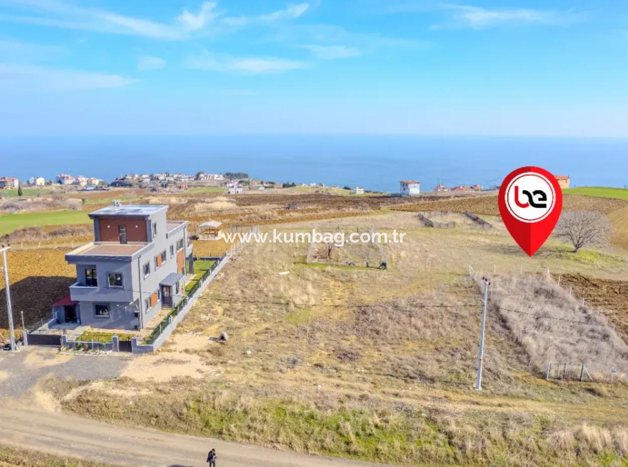 Tekirdağ 396 M2 İnşaata Hazır Tek Tapu Satılık İmarlı Arsa