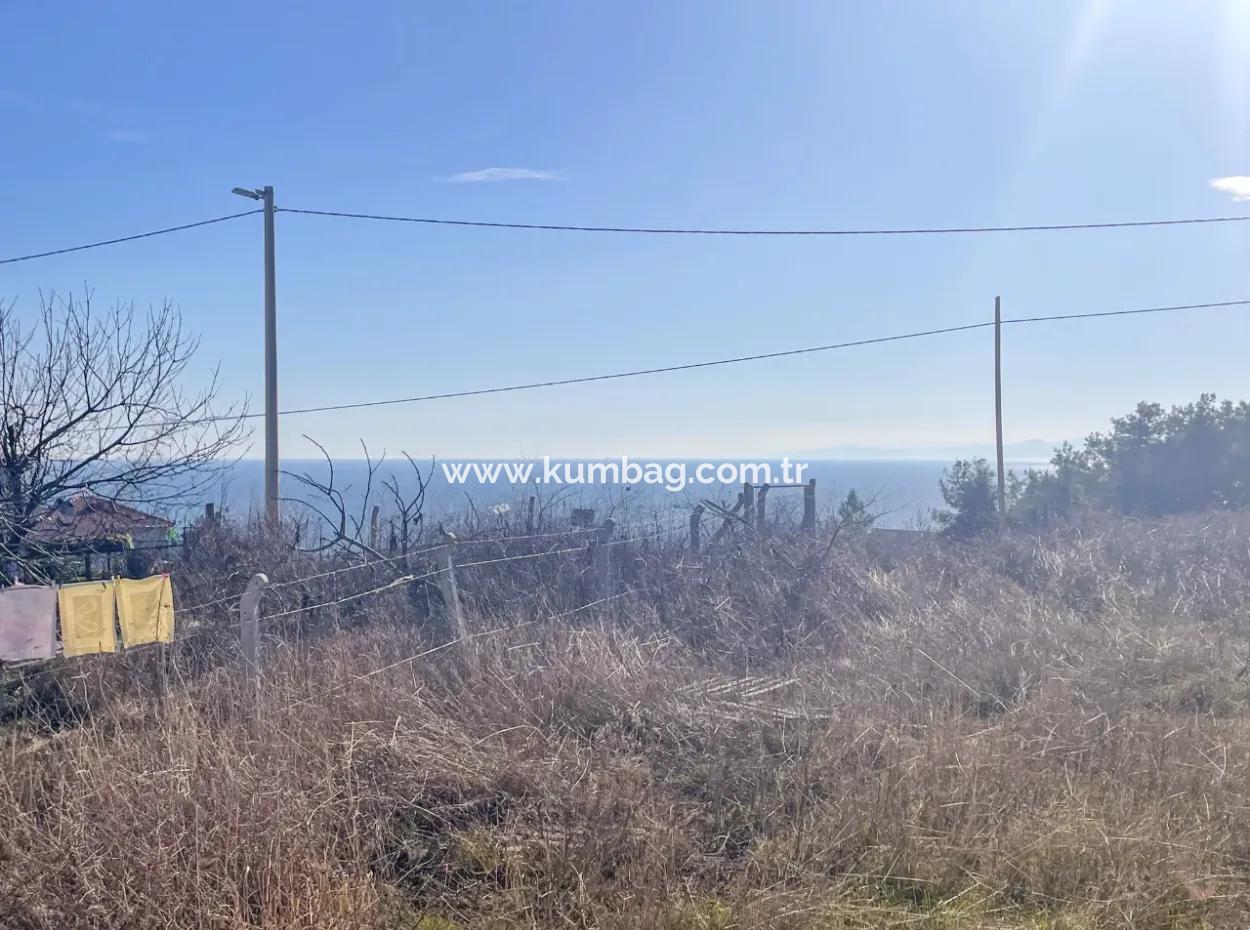 Komple Deniz Manzaralı Kumbağ Tepede İskanlı Satılık 2+1 Daire