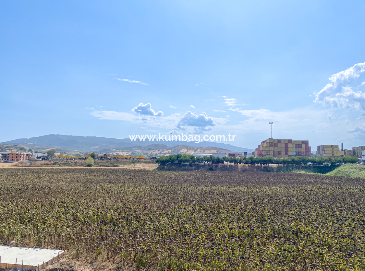 Kumbağ Havuzlu Sitede Denize Yakın Satılık Lüks 1+1 Daireler