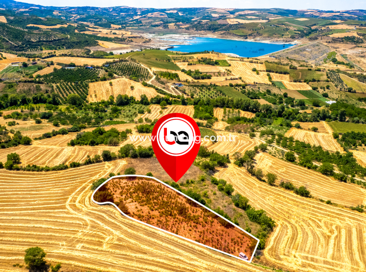 Fiyat Düştü Fırsat Naip'te Yolu Açık 2.804 M2 Satılık Üzüm Bağı