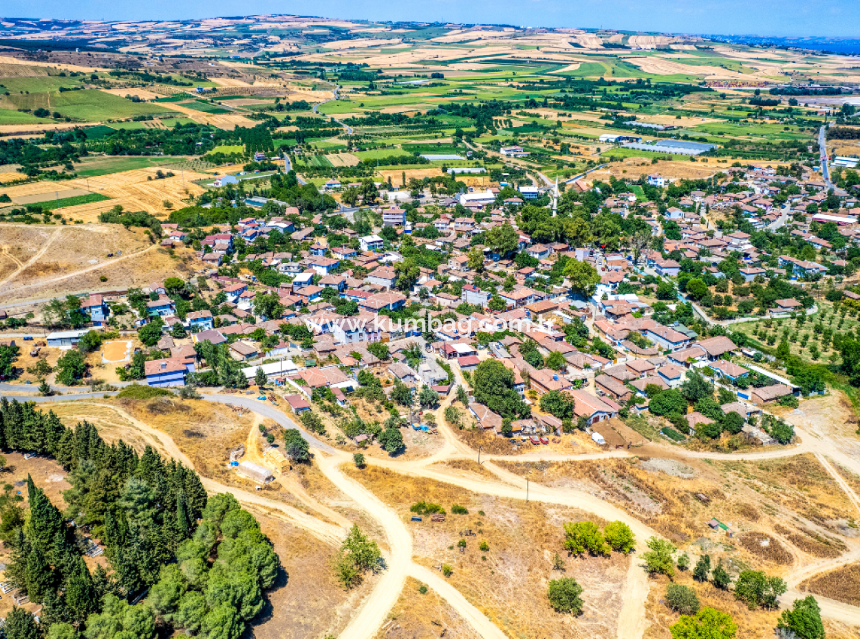 Fiyat Düştü Fırsat Naip'te Yolu Açık 2.804 M2 Satılık Üzüm Bağı