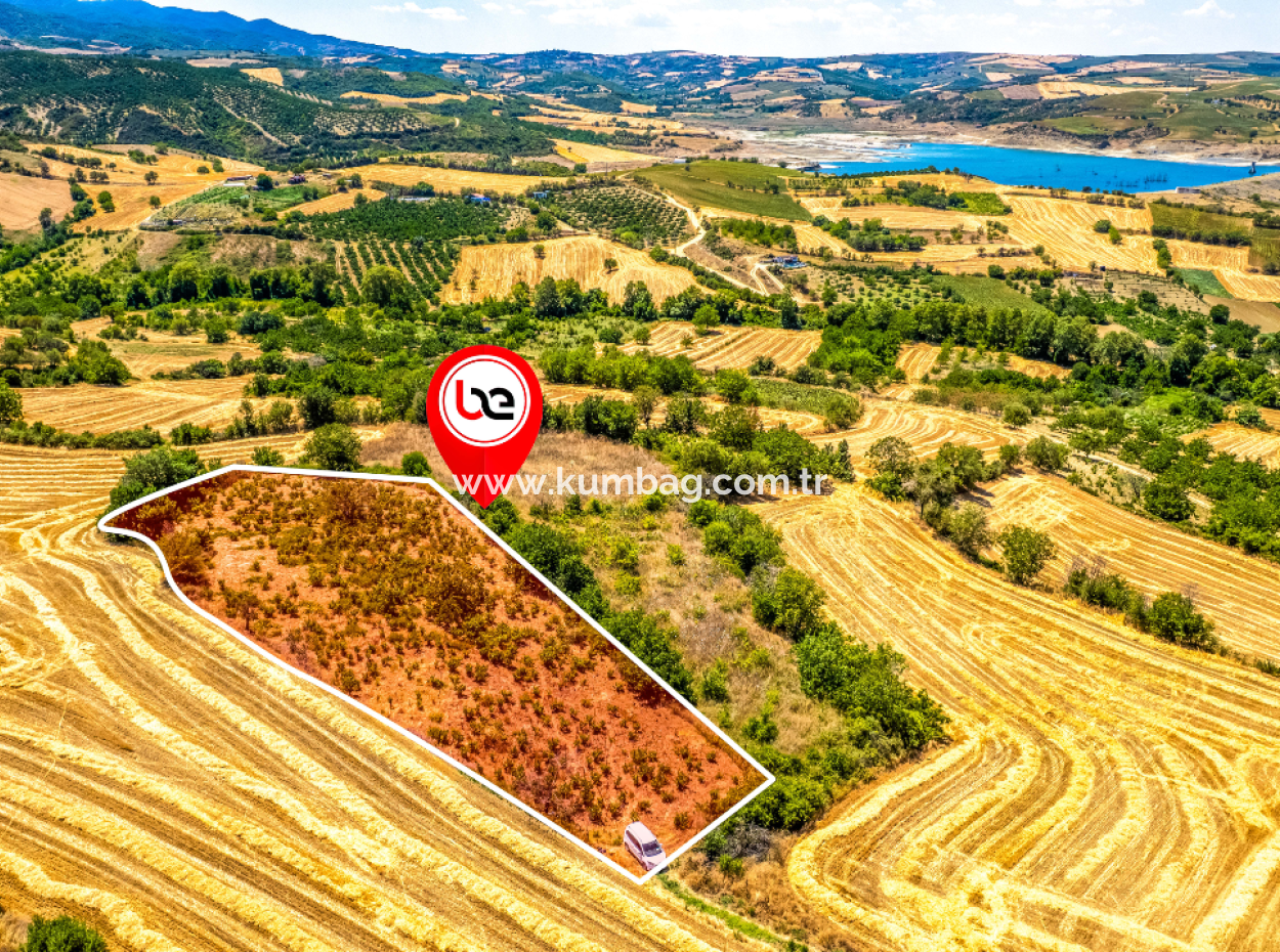 Fiyat Düştü Fırsat Naip'te Yolu Açık 2.804 M2 Satılık Üzüm Bağı