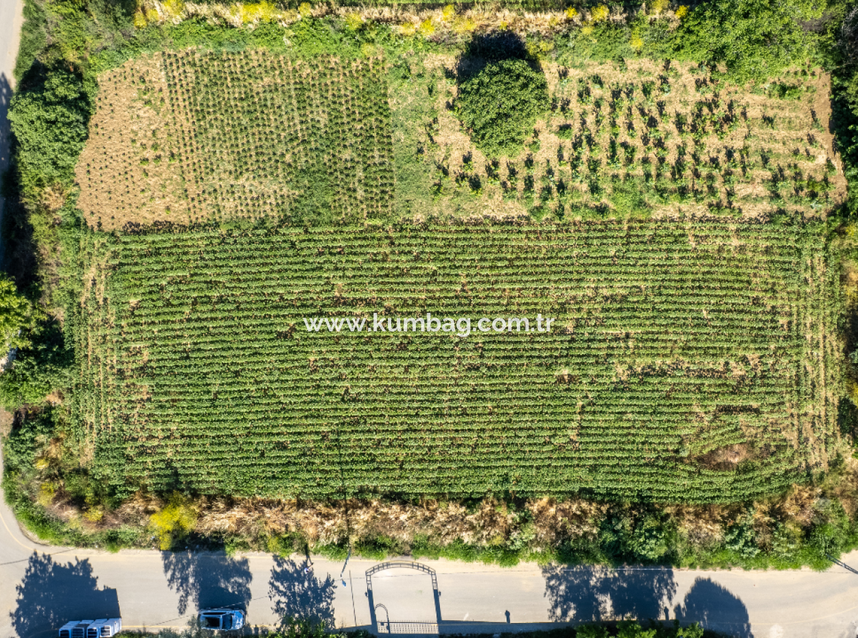 Kumbağ'da Hızlı Gelişen Bölgede 308 M2 Konut İmarlı Satılık Arsa