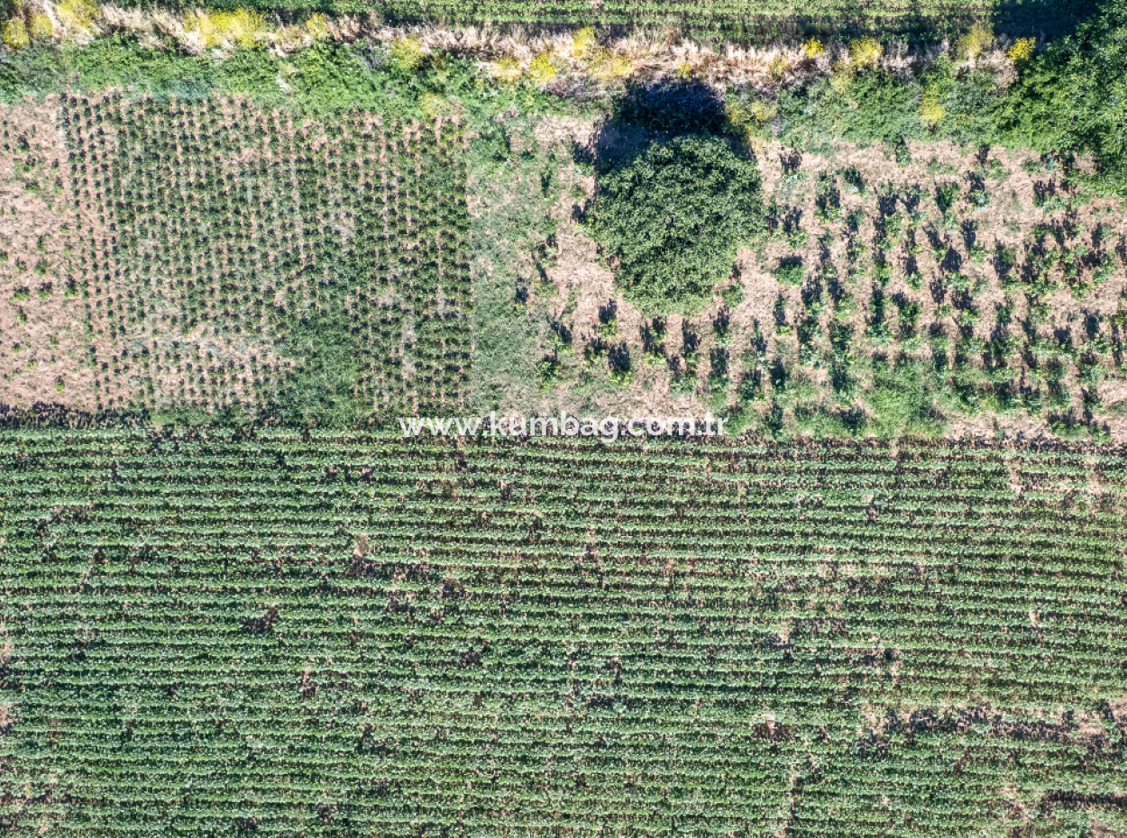 Kumbağ'da Hızlı Gelişen Bölgede 308 M2 Konut İmarlı Satılık Arsa