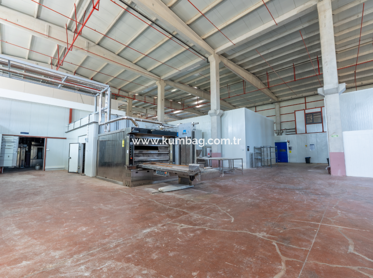 Gıda Üretimine Uygun Üretim Tesisi Dumansız Sanayi Bölgesinde