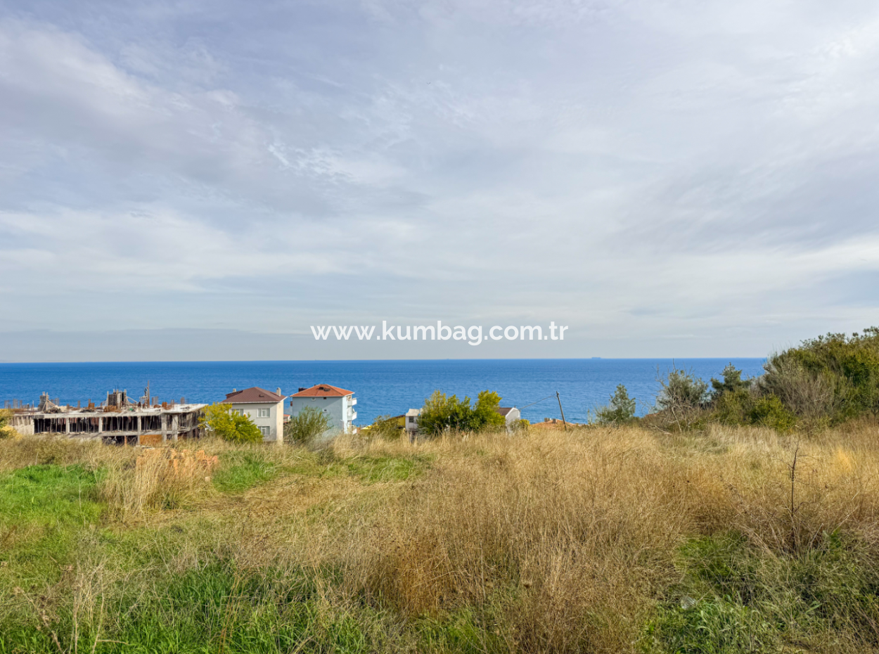 Kumbağ'da Panoramik Deniz Manzaralı İskanlı Satılık 1+1 Daire