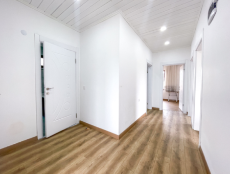 Tekirdağ Naipköy Mah. 4+1 Satılık Müstakil Köy Evi Ve Müştemilat