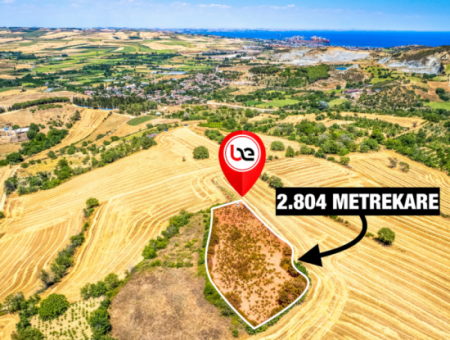 Naip Köyünde Yolu Açık 2.804 M2 Yatırıma Uygun Satılık Üzüm Bağı
