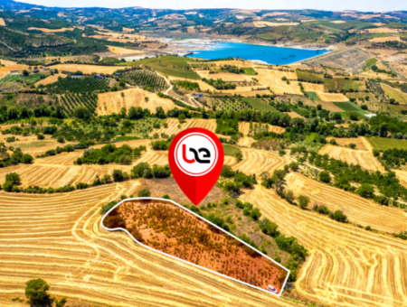 Naip Köyünde Yolu Açık 2.804 M2 Yatırıma Uygun Satılık Üzüm Bağı