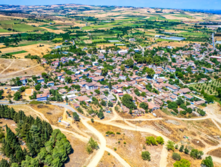 Naip Köyünde Yolu Açık 2.804 M2 Yatırıma Uygun Satılık Üzüm Bağı