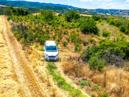 Naip Köyünde Yolu Açık 2.804 M2 Yatırıma Uygun Satılık Üzüm Bağı