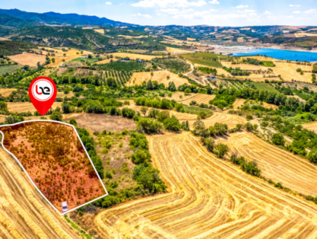 Naip Köyünde Yolu Açık 2.804 M2 Yatırıma Uygun Satılık Üzüm Bağı