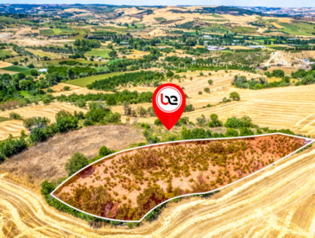 Naip Köyünde Yolu Açık 2.804 M2 Yatırıma Uygun Satılık Üzüm Bağı