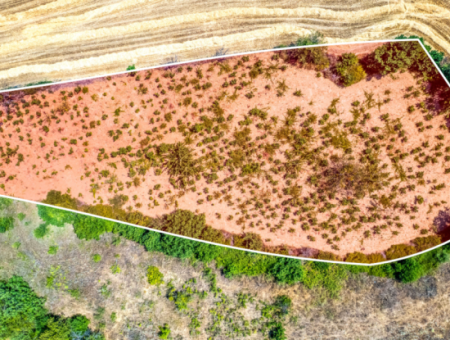 Naip Köyünde Yolu Açık 2.804 M2 Yatırıma Uygun Satılık Üzüm Bağı