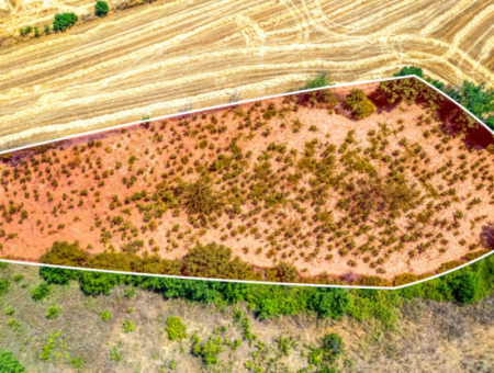 Naip Köyünde Yolu Açık 2.804 M2 Yatırıma Uygun Satılık Üzüm Bağı