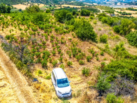 Naip Köyünde Yolu Açık 2.804 M2 Yatırıma Uygun Satılık Üzüm Bağı